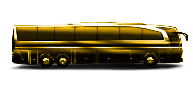 Istanbul Airport Transfer Bus